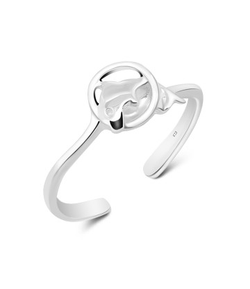 Silver Toe Rings TR-113